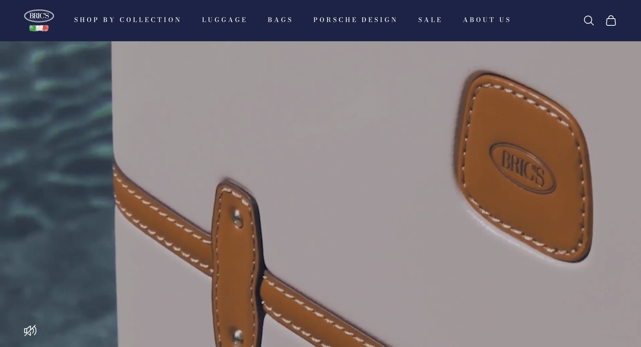 BRIC'S website image