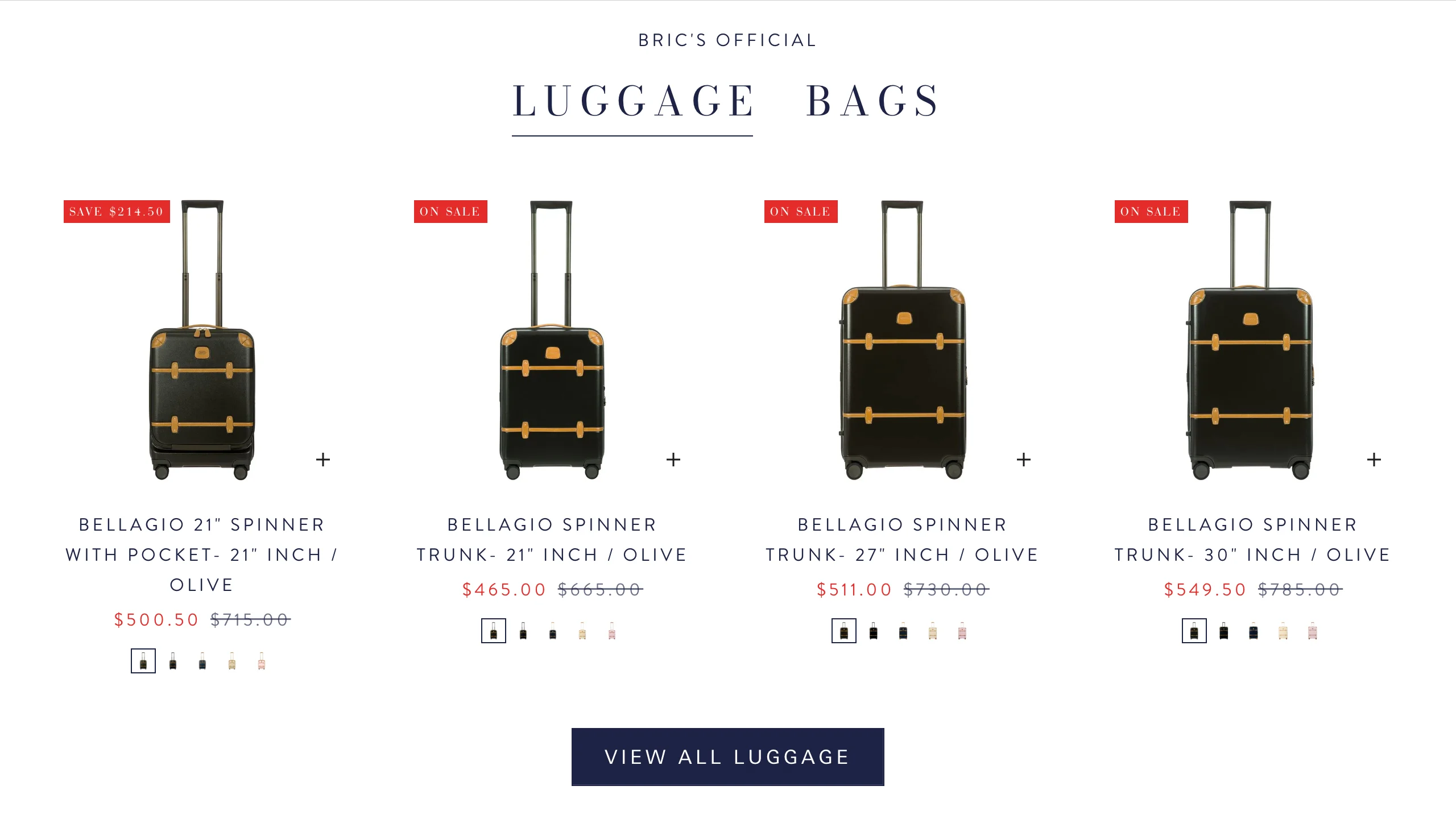 BRIC'S website image