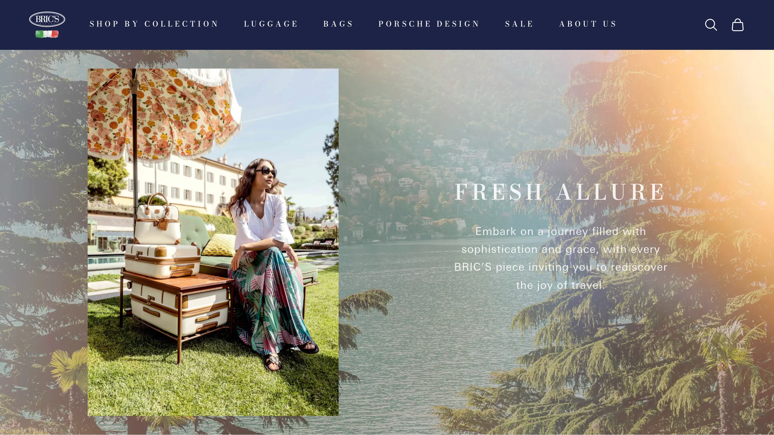 BRIC'S website image