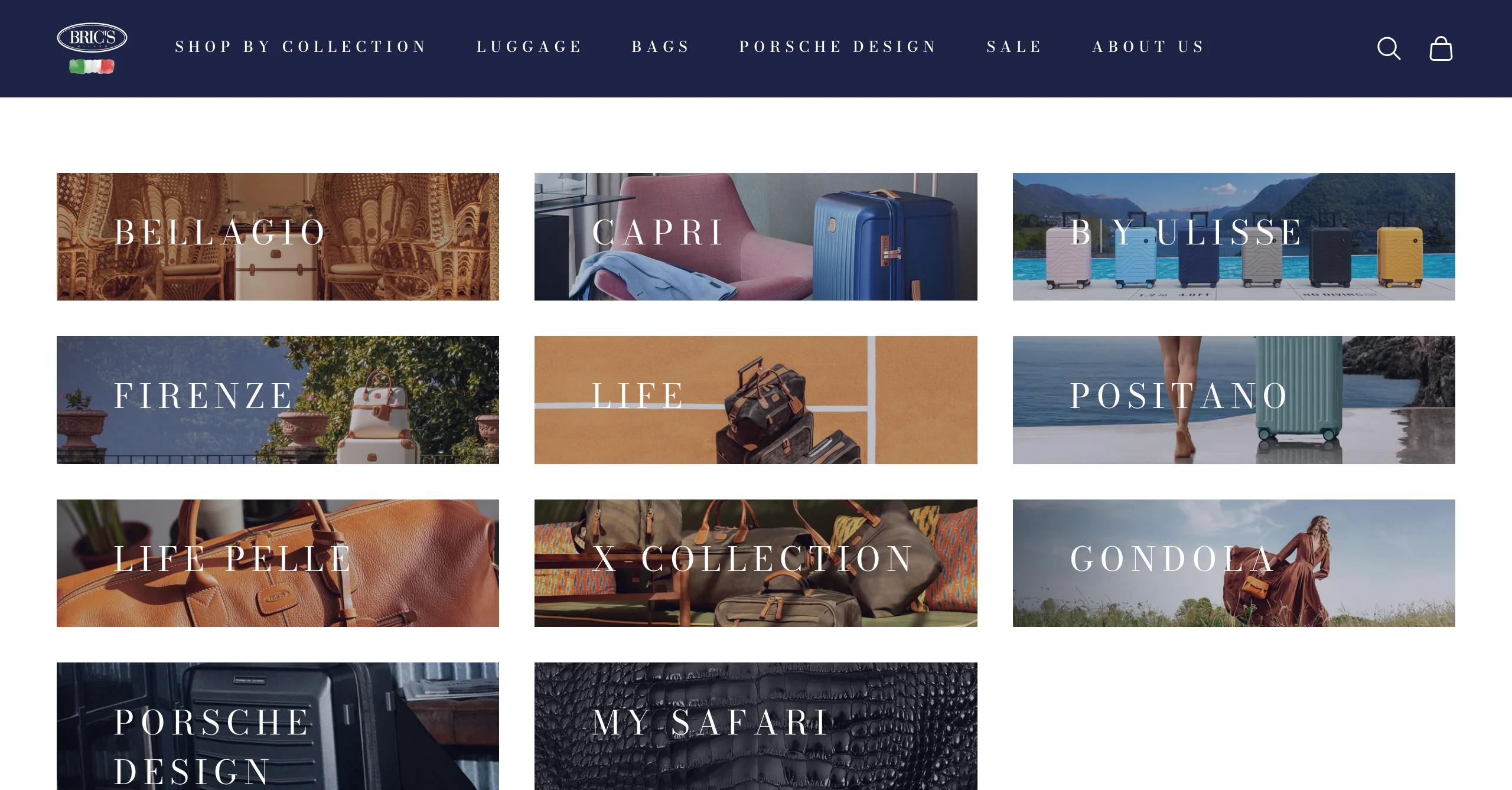 BRIC'S website image