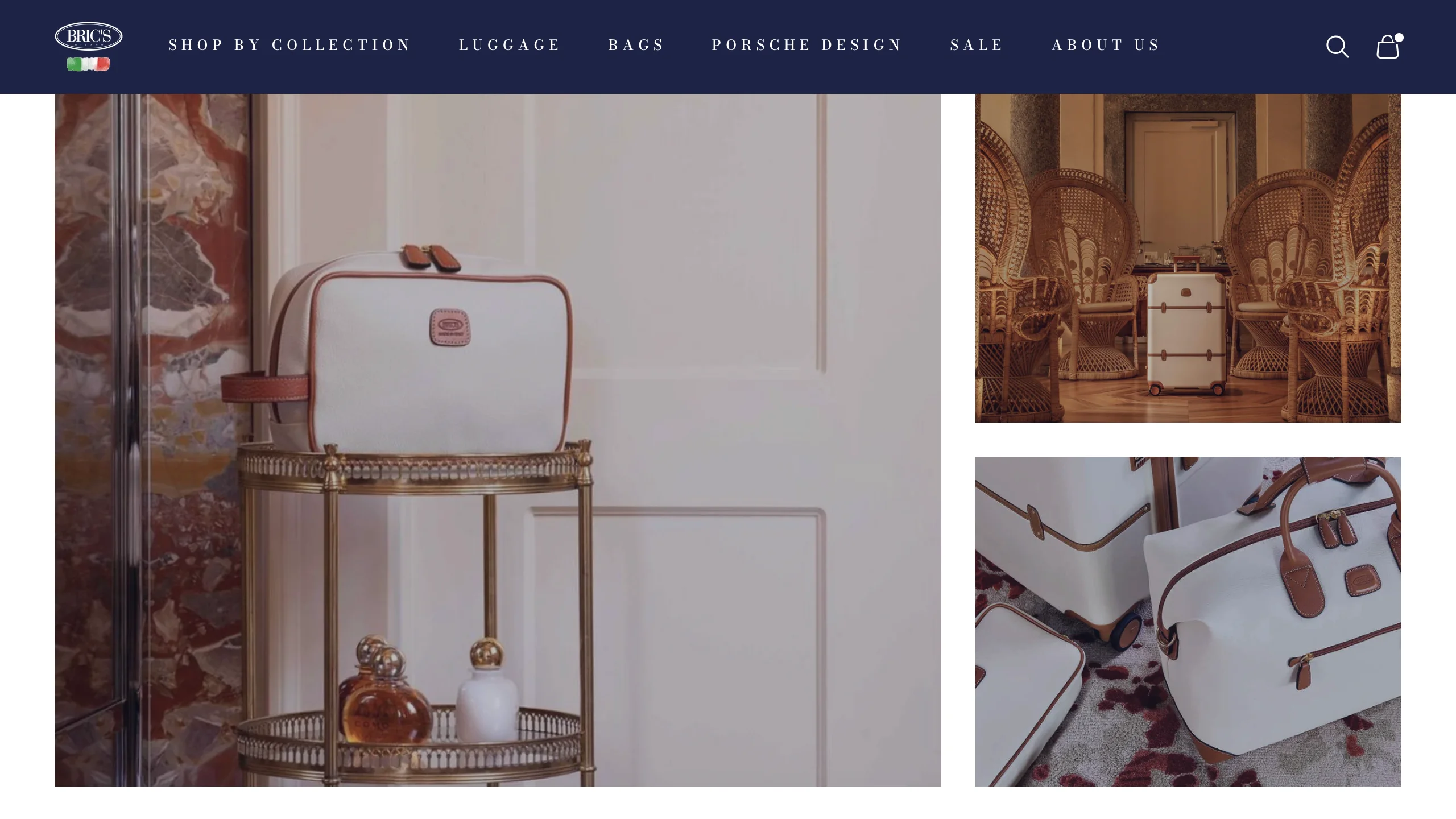 BRIC'S website image